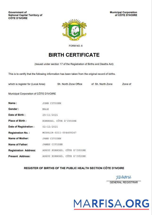 Downloadable Cote d’Ivoire vital record birth certificate Word and PDF template